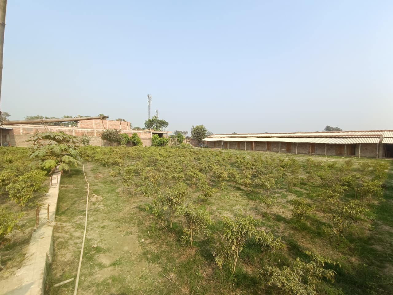 WhatsApp Image 2026-01-28 at 9.16.39 AM (2)