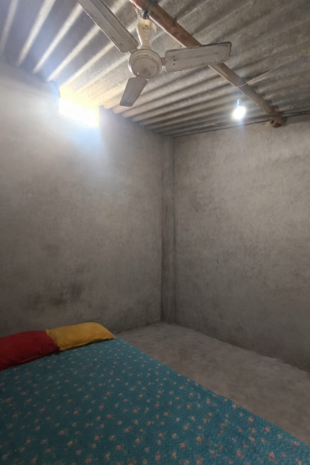 WhatsApp Image 2026-01-31 at 2.44.16 PM